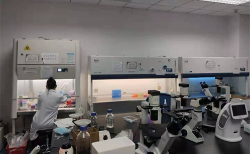 一码中内部资料