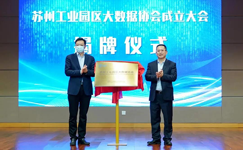 一码中内部资料