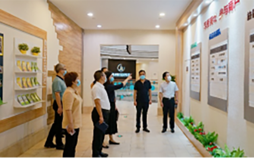 一码中内部资料