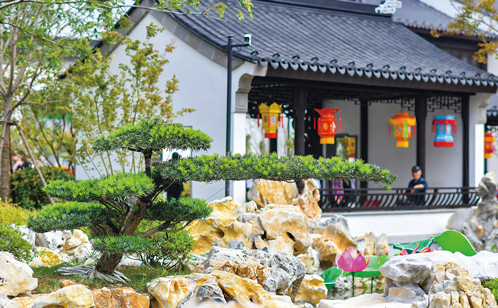 一码中内部资料