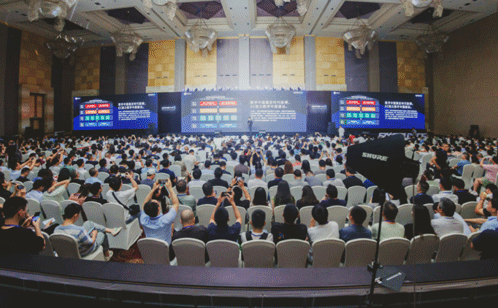 一码中内部资料