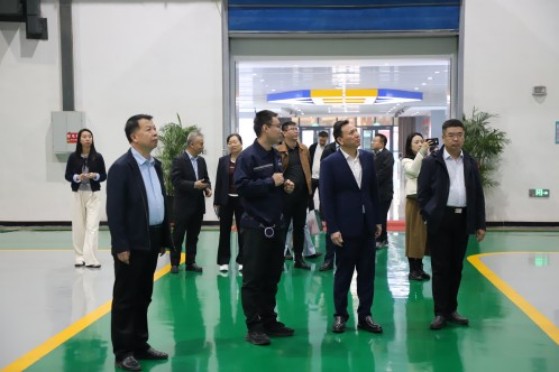 一码中内部资料