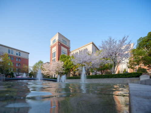 一码中内部资料