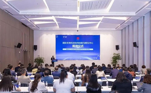 一码中内部资料