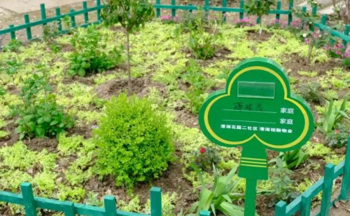 一码中内部资料