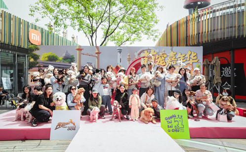 一码中内部资料