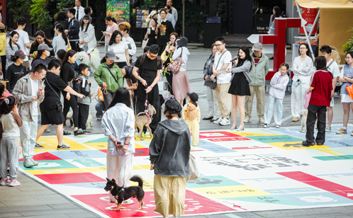 一码中内部资料