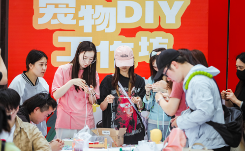 一码中内部资料