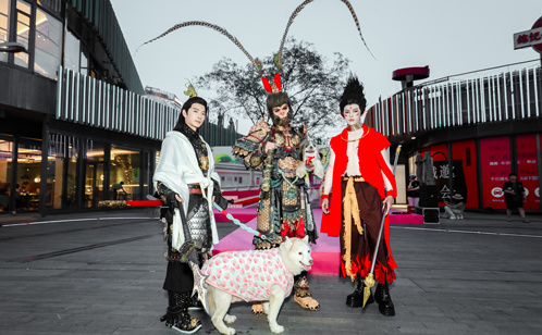 一码中内部资料