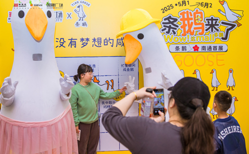 一码中内部资料