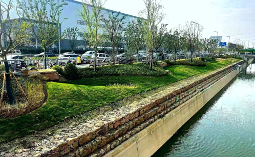 一码中内部资料