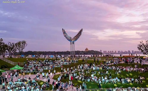 一码中内部资料