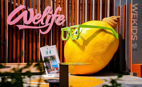 一码中内部资料