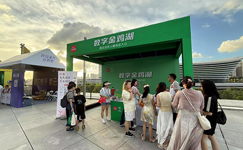 一码中内部资料