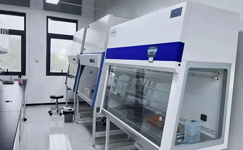 一码中内部资料