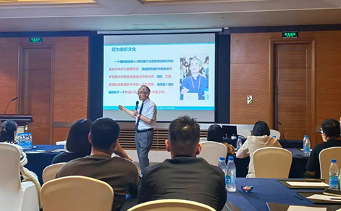 一码中内部资料