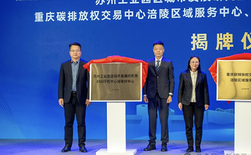 一码中内部资料