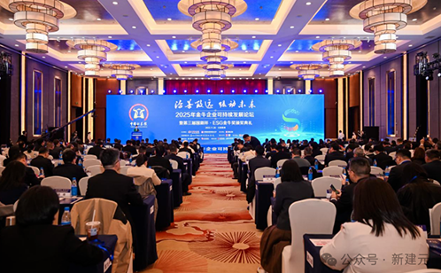 一码中内部资料