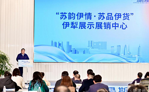 一码中内部资料