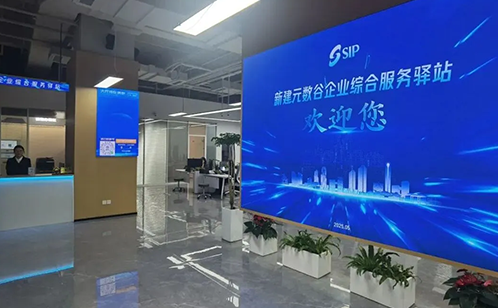 一码中内部资料