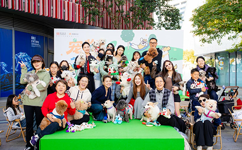 一码中内部资料