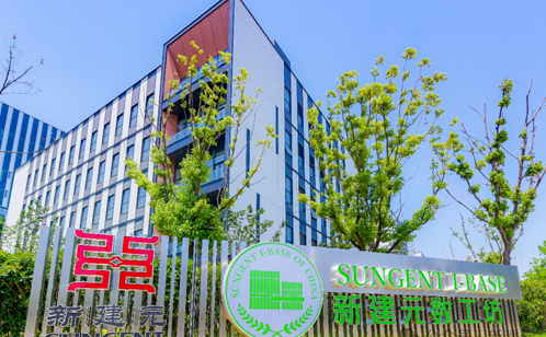 一码中内部资料