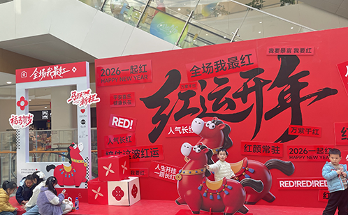 一码中内部资料