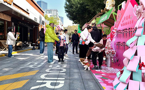 一码中内部资料