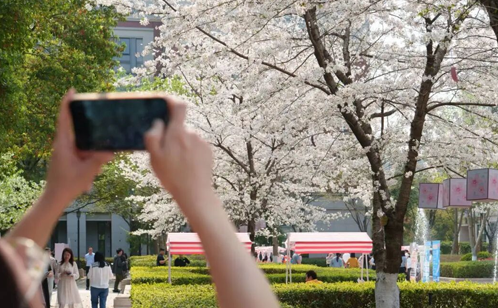 一码中内部资料