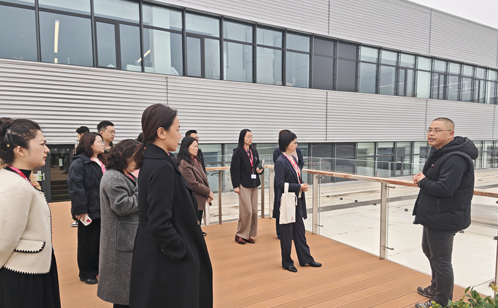 一码中内部资料