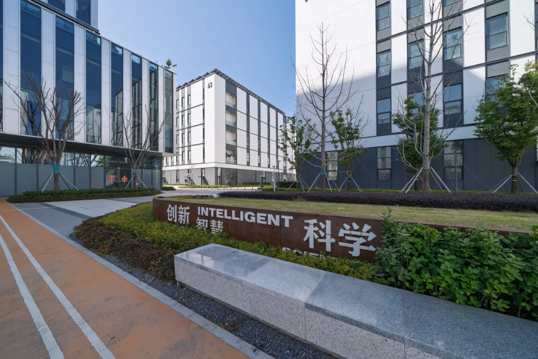 一码中内部资料