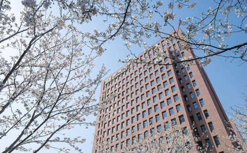 一码中内部资料