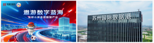 一码中内部资料